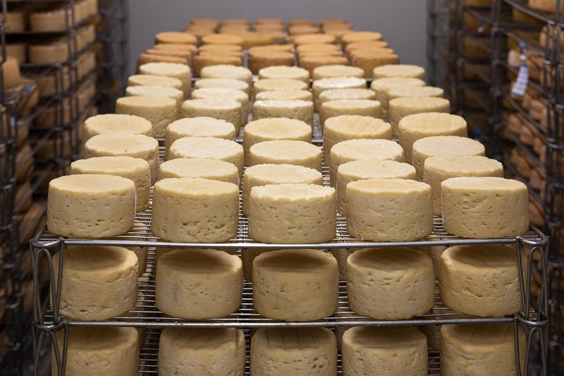 Artisanal Cheese